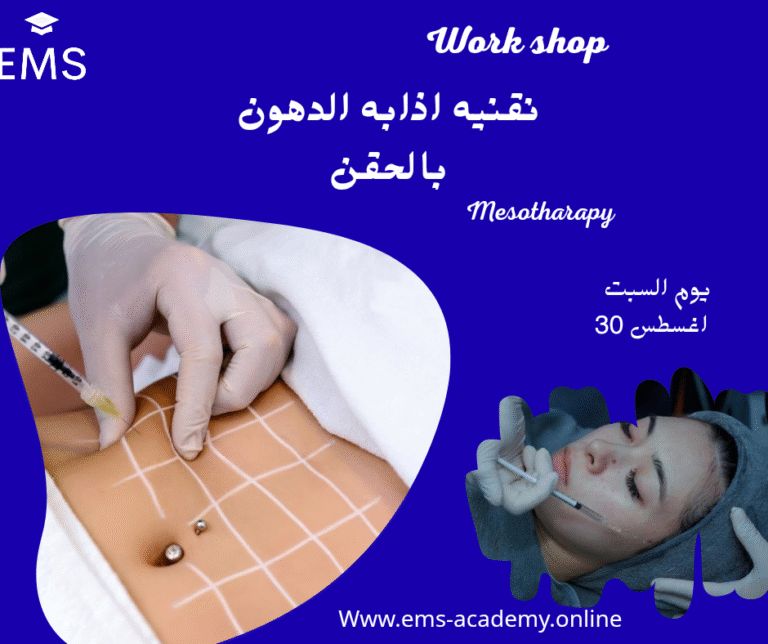 Work shop mesotherapy